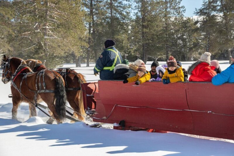 Mont-Tremblant: Sleigh Ride w/ Storytelling & Hot Chocolate - Final Thoughts