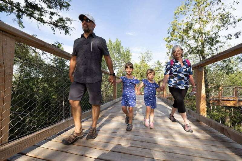Mont-Tremblant: Treetop Observatory and Self-Guided Walk - An Authentic Look at the Treetop Walk Experience