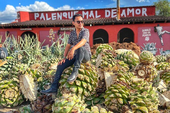 Monte Alban, Alebrijes, Mezcal, Teotitlan and Tule Tree Tour - Who Will Love This Tour?