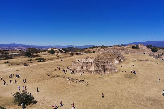 Monte Alban - Full Day Guided Tour with or without Food - Oaxaca - Who Will Love This Tour?