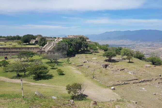 Monte Albán Half Day Tour - The Sum Up: Who Will Love This Tour?