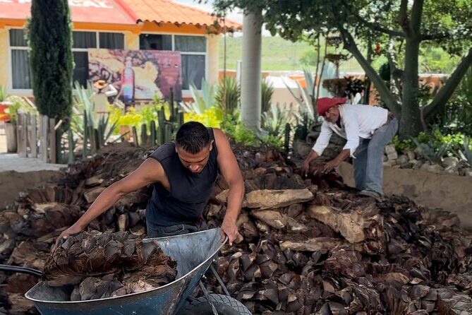 Monte Alban, Mezcal factory, chocolate and artisan houses - Who Should Consider This Tour?