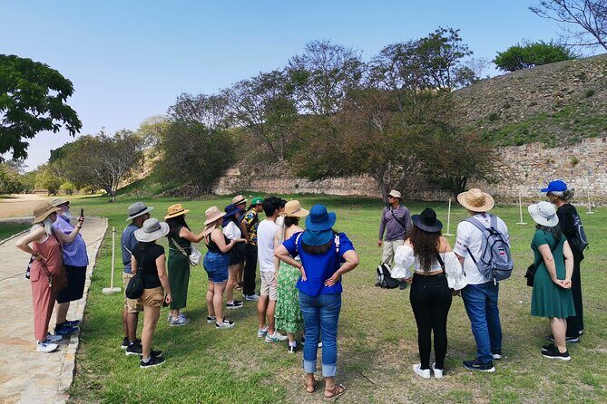 Monte Alban Only - Half Day Guided Tour - Oaxaca - Introduction: What to Expect from the Monte Alban Half-Day Tour