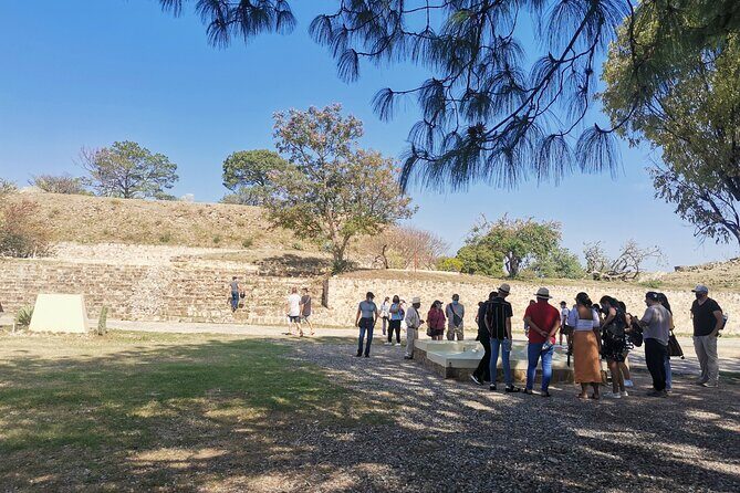 Monte Alban Only - Half Day Guided Tour - Oaxaca - Key Points