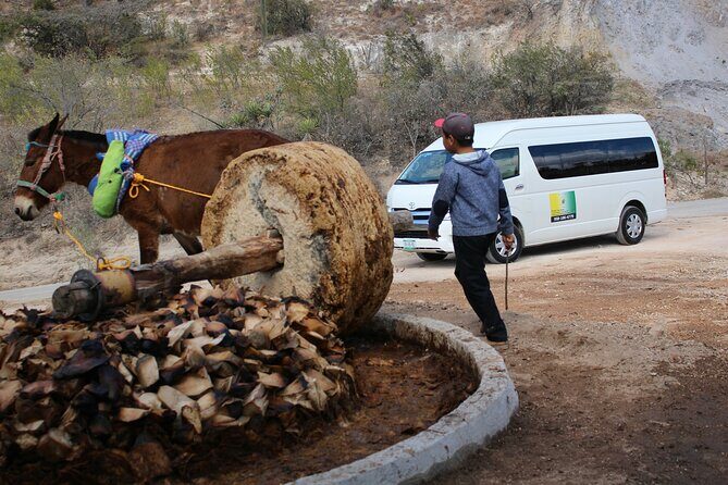 Monte Alban, Teotitlan and Mezcal Tour - Who Will Love This Experience?