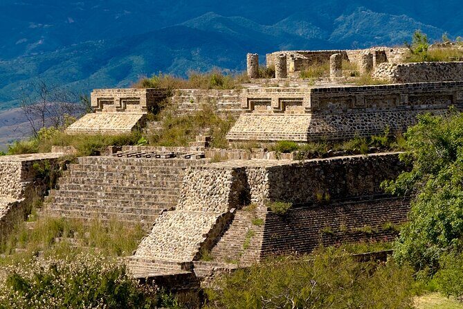 Monte Alban Tree of the Tule Mezcal and Teotitlan del Valle Tour - A Detailed Look at the Tour