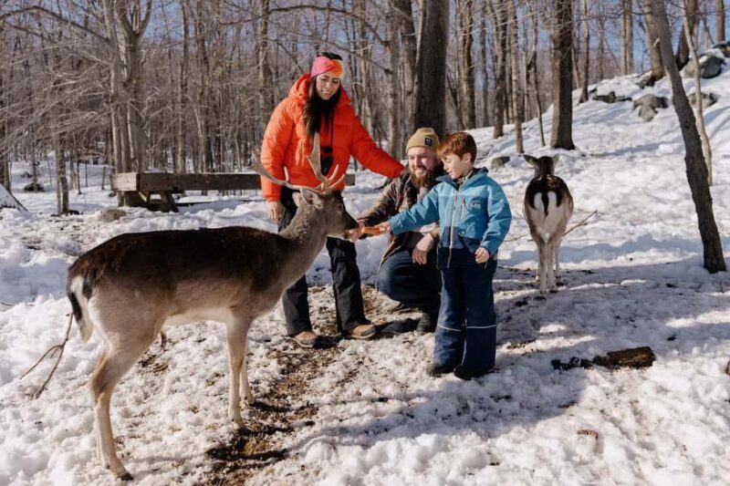 Montebello, QC: General Admission to Parc Omega - Key Points