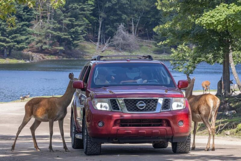 Montebello, QC: General Admission to Parc Omega - Frequently Asked Questions (FAQs)