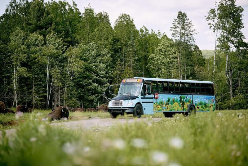 Montebello, QC: Morning VIP Tour at Parc Oméga - A Closer Look at the VIP Tour Experience