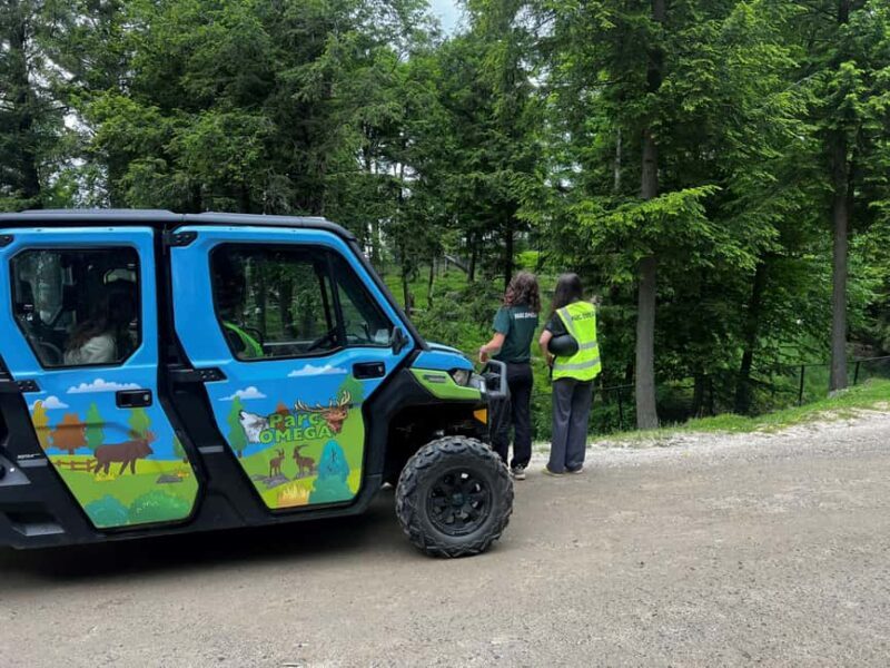 Montebello, QC: Omega Park Guided Animal Feeding in All-Terrain Vehicle - An Adventure in the Heart of Omega Park