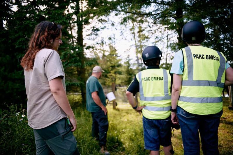 Montebello, QC: Omega Park Guided Animal Feeding in All-Terrain Vehicle - Access to Hidden Corners of the Park