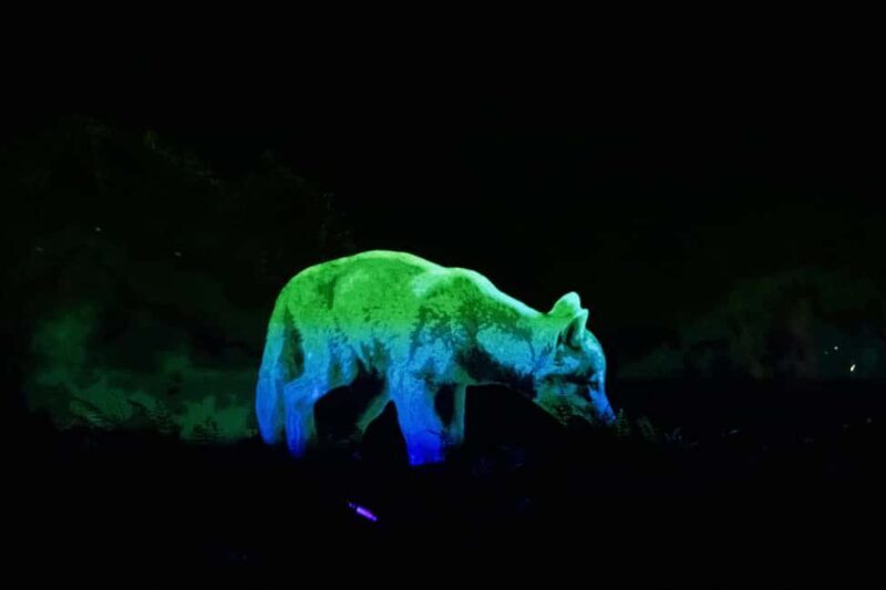 Montebello, QC: Omega Park ONIRO Immersive Experience at Night - The Sum Up