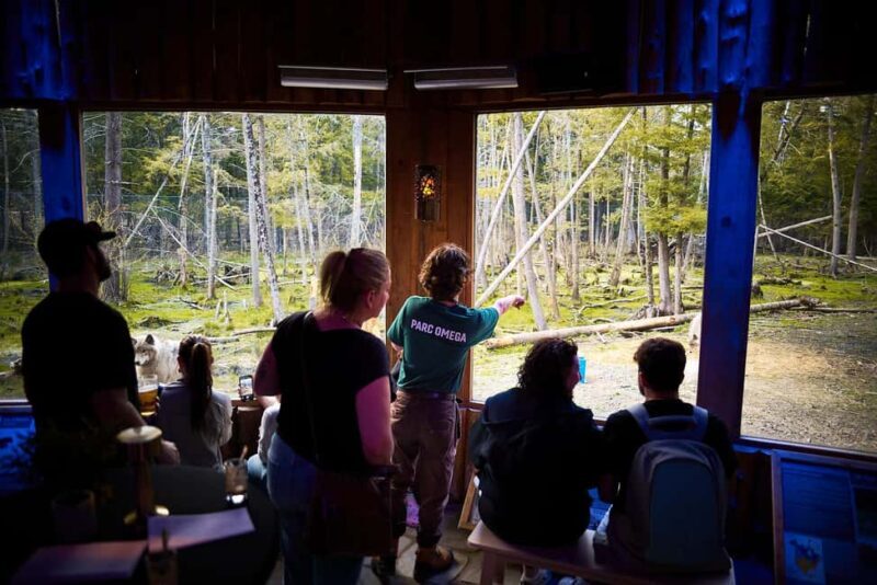 Montebello, QC: Parc Omega Wolves Experience with Cocktail & Guide - Break Down of the Itinerary