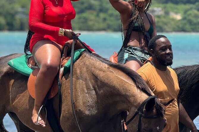 Montego Bay Beach Horseback Riding Tour - What to Expect from the Montego Bay Beach Horseback Riding Tour