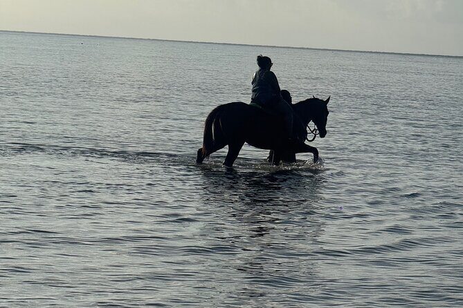 Montego Bay Beach Horseback Riding Tour - Who Should Consider This Tour?