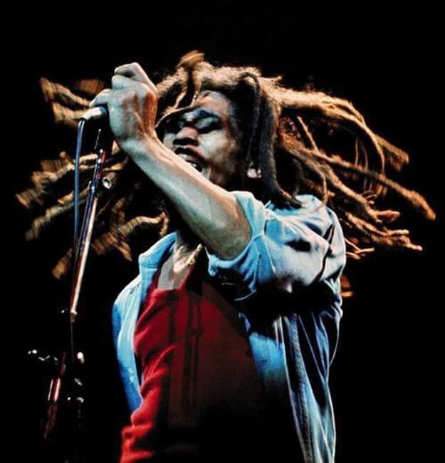 Montego Bay: Bob Marley Tour to 9 Mile, St. Ann - A Deep Dive into the Bob Marley 9 Mile Tour