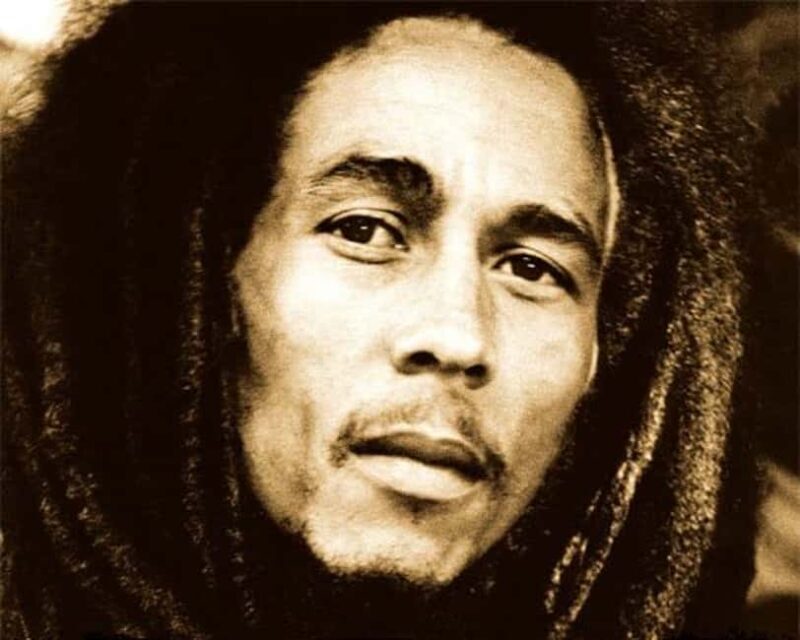 Montego Bay: Bob Marley Tour to 9 Mile, St. Ann - Final Thoughts: Who Will Love This Tour?