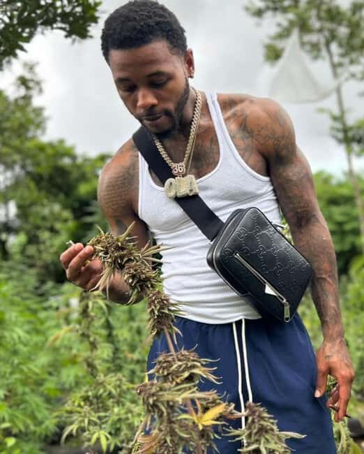 Montego Bay: Cannabis Farm, Bamboo Rafting, & Foot Massage - Who Will Love This Tour?