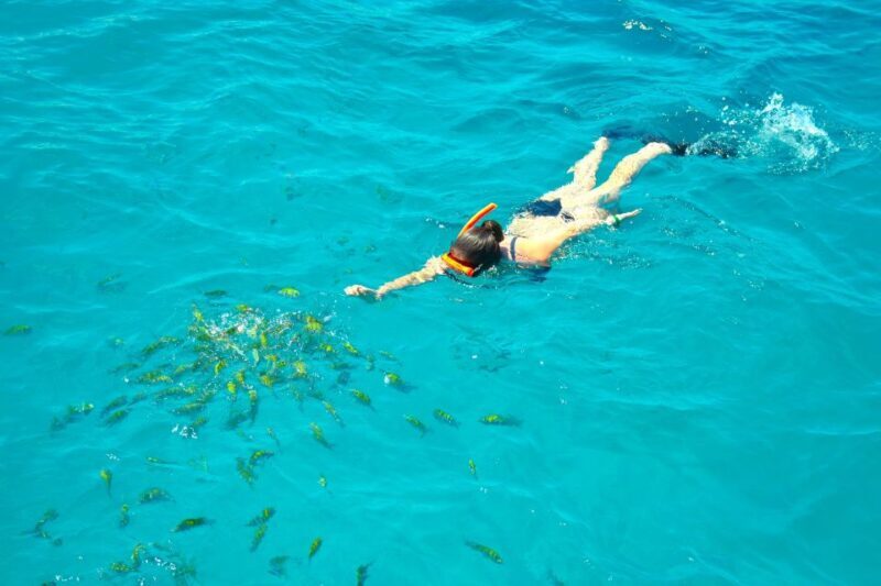 Montego Bay Catamaran Cruise and Snorkeling Tour - An Overview of the Tour Experience