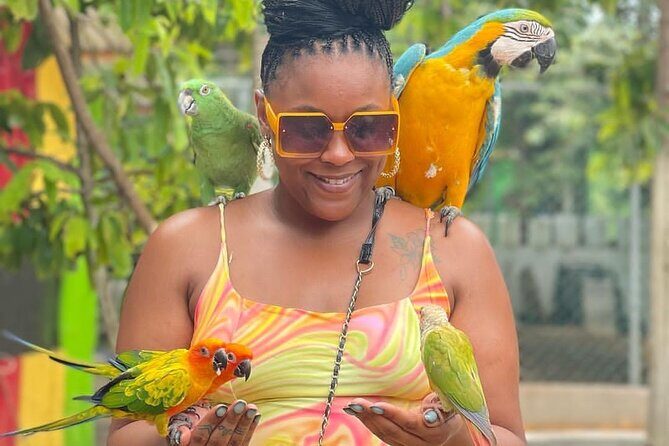 Montego Bay Exotic Herbs, Birds and Animals Interaction Tour - Introduction to the Tour Experience