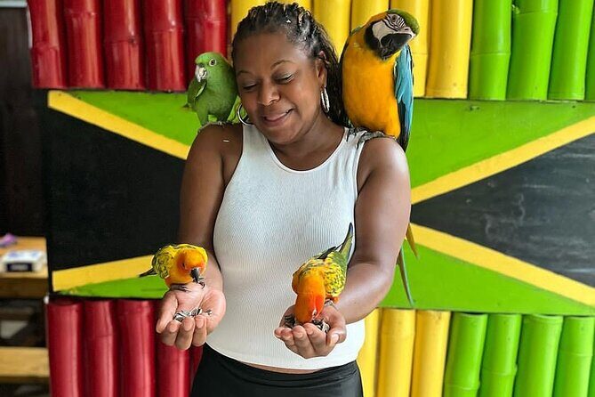 Montego Bay Exotic Herbs, Birds and Animals Interaction Tour - The Sum Up