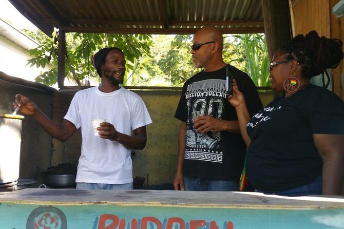 Montego Bay hi lite and culture tour - What You Can Expect from Transportation and Logistics