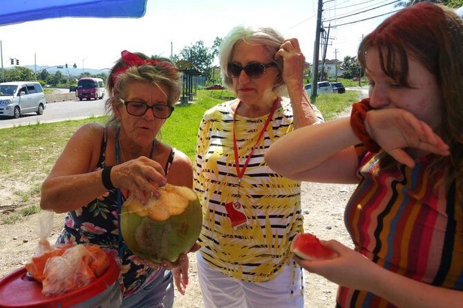 Montego Bay hi lite and culture tour - The Sum Up