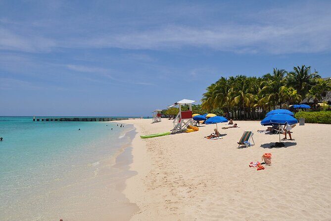 Montego Bay Highlights From Montego Bay Hotels - Who This Tour Is Best For