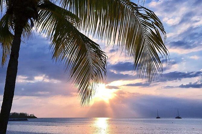 Montego Bay Highlights Tour from Montego Bay - What You Might Want to Consider