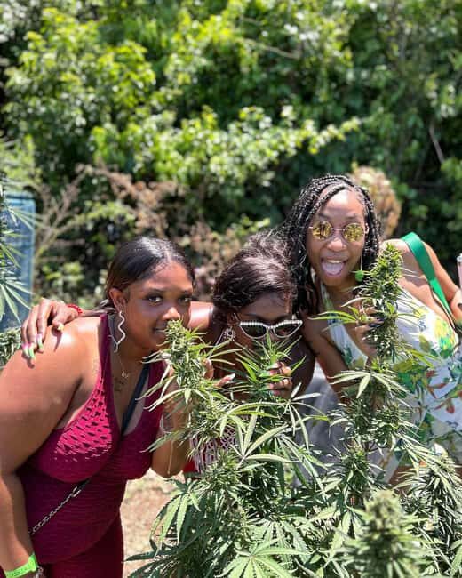Montego Bay: Marijuana Farm and Bird Sanctuary Tour - Key Points