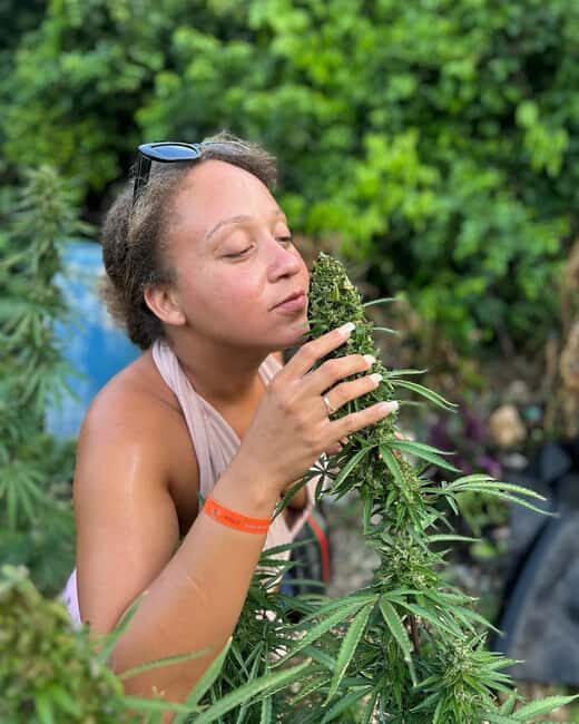Montego Bay: Marijuana Farm and Bird Sanctuary Tour - A Closer Look at the Tour Experience
