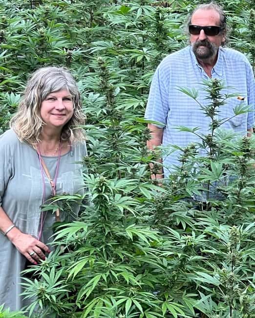 Montego Bay: Marijuana Farm Private Tour with Transportation - An Honest Breakdown of the Experience