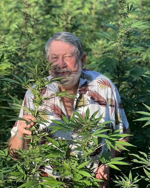 Montego Bay: Marijuana Farm Private Tour with Transportation - Authentic Insights From Reviewers