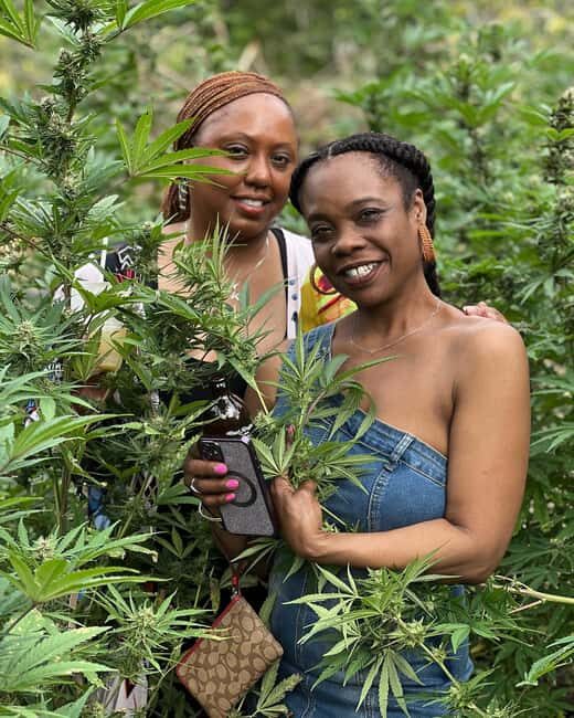 Montego Bay: Marijuana Farm Private Tour with Transportation - Who Should Consider This Tour?