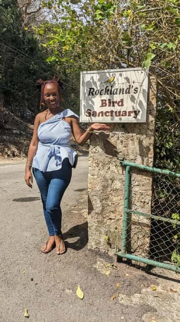 Montego Bay: Private Rocklands Bird Sanctuary Trip - Detailed Itinerary Breakdown