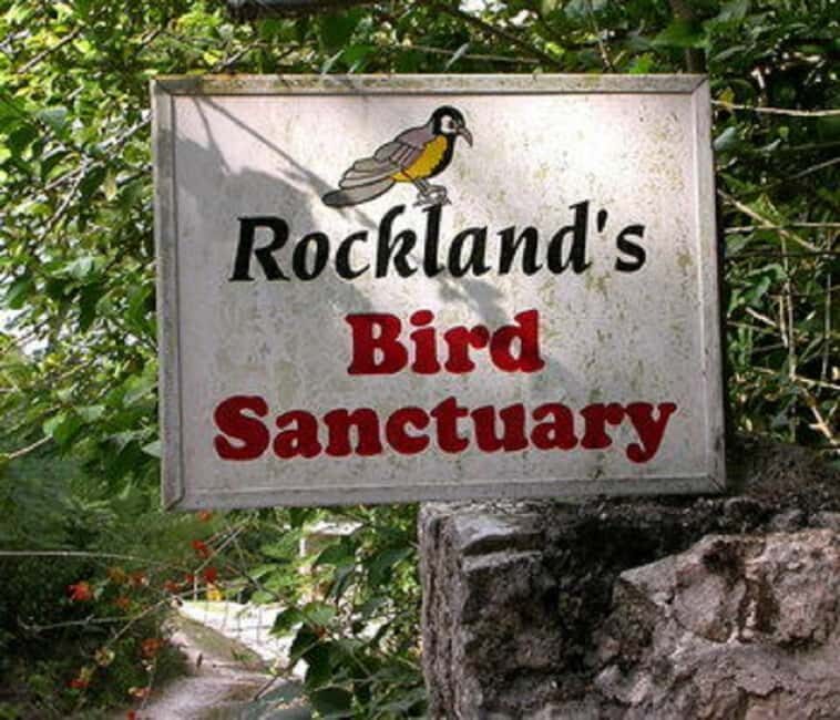 Montego Bay: Private Rocklands Bird Sanctuary Trip - FAQ