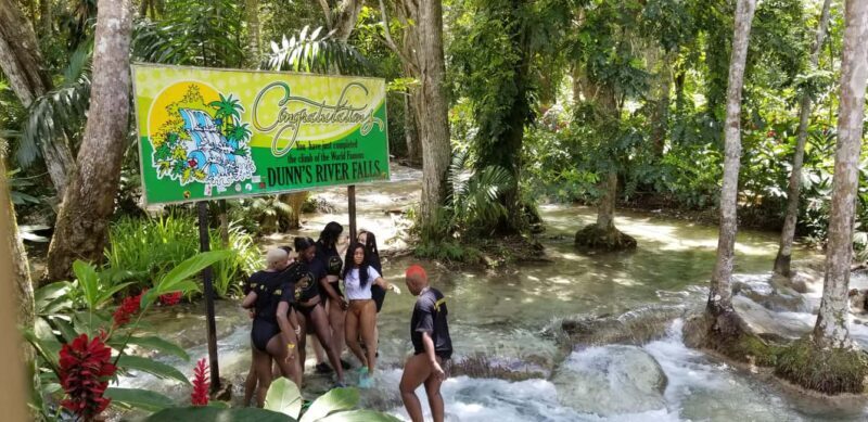 Montego Bay: River Rafting and Dunn's River Falls Day Trip - An In-Depth Look at the Tour
