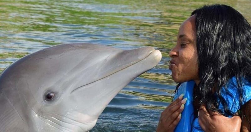 Montego Bay: Swim With The Dolphins Adventure in Lucea - What to Expect During the Tour