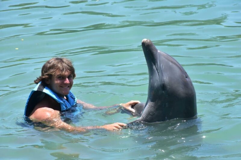 Montego Bay: Swim With The Dolphins Adventure in Lucea - Authentic Feedback and Highlights