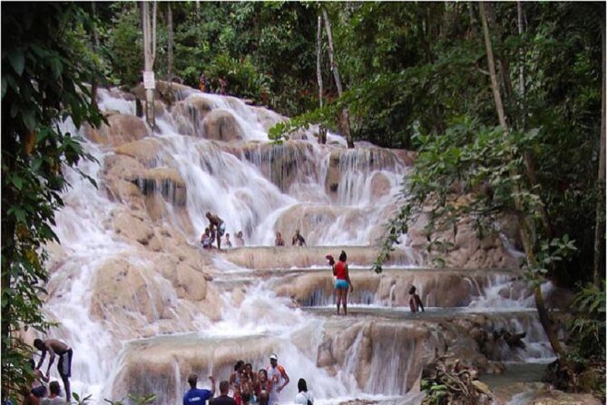 Montego Bay to Dunn's River Falls Half-Day Trip - Introduction