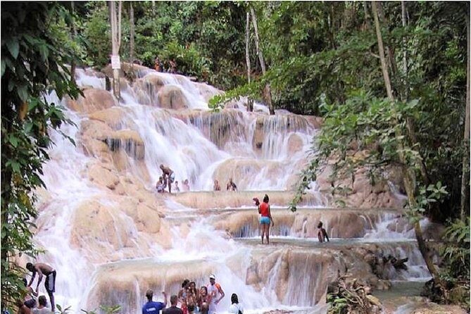 Montego Bay to Dunn's River Falls Half-Day Trip - Key Points