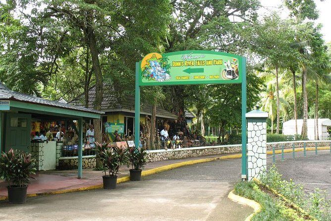 Montego Bay to Dunn's River Falls Half-Day Trip - Who Is This Tour Best For?