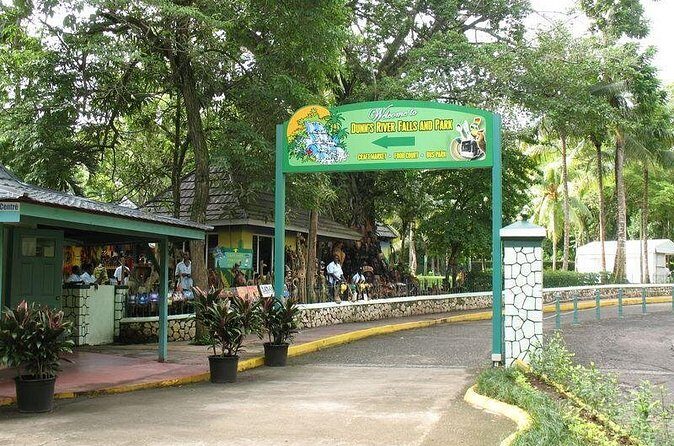 Montego Bay to Dunn's River Falls Half-Day Trip - Final Thoughts