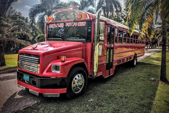 Montego Bay to Kingston PickUp & Drop-Off Service UP 20 PEOPLE - What to Expect from the Kingston Party Bus Experience