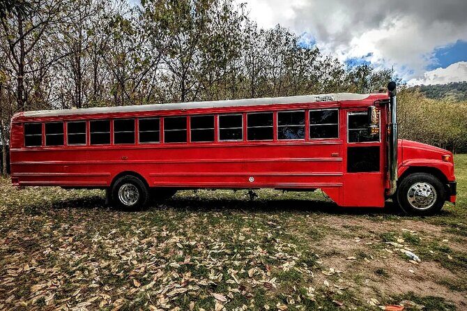 Montego Bay to Kingston PickUp & Drop-Off Service UP 20 PEOPLE - The Sum Up: Is It Worth It?