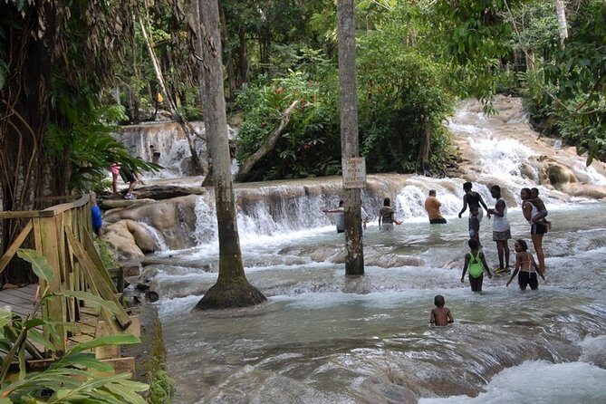 Montego Bay tour: Dunn's River Falls - The Sum Up: Why Consider This Tour?
