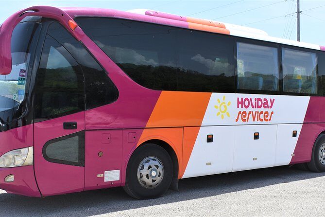 MontegoBay Airport to Ocho Rios: One way/Round Trip cheap Shuttle - Final Thoughts