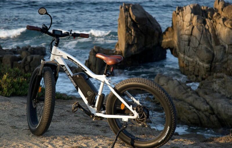Monterey: 17-Mile Drive Guided E-Bike Tour - What to Consider