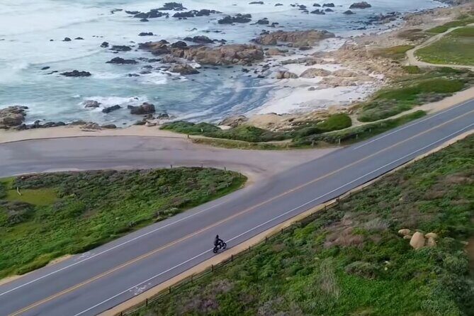 Monterey Bay Famous Dog Friendly Electric Bike and Sidecar Tour - Introduction