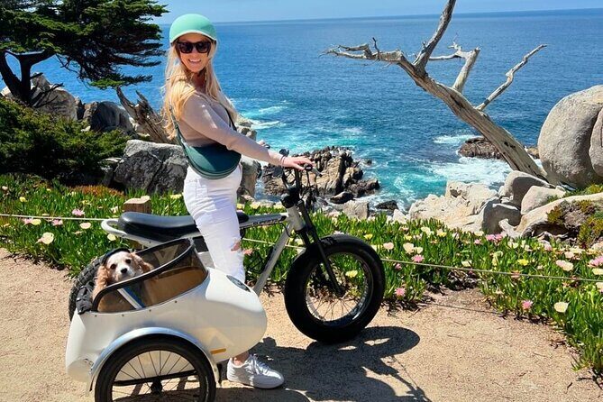 Monterey Bay Famous Dog Friendly Electric Bike and Sidecar Tour - Key Points